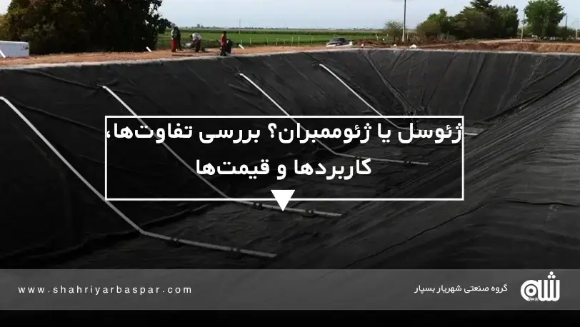 آخرین اخبار و مقالات
