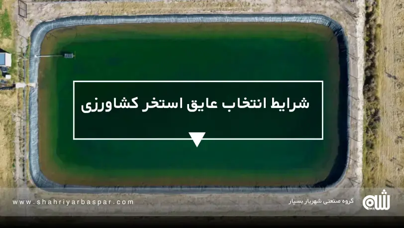 اهنمای جامع مقایسه انواع عایق‌کاری استخرهای کشاورزی در ایران