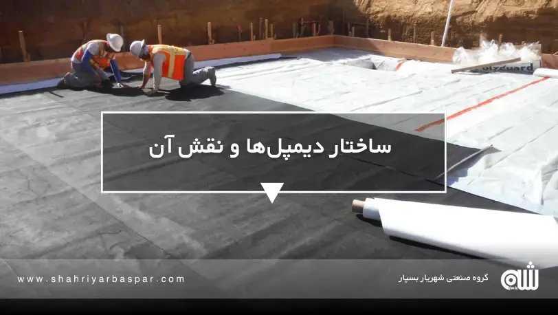 ساختار دیمپل‌ها و نقش آن 